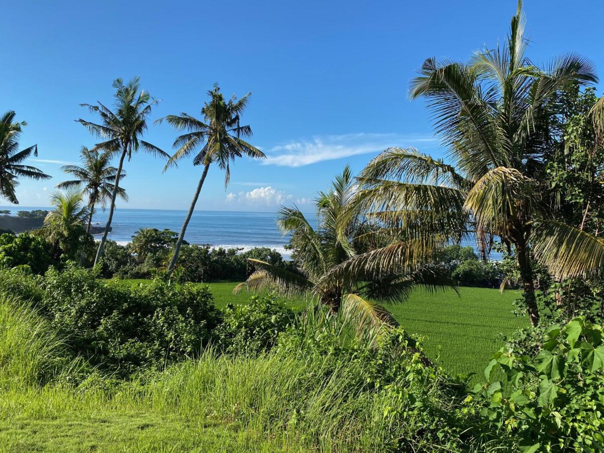 Balian Prana Hotel Selemadeg  Bagian luar foto