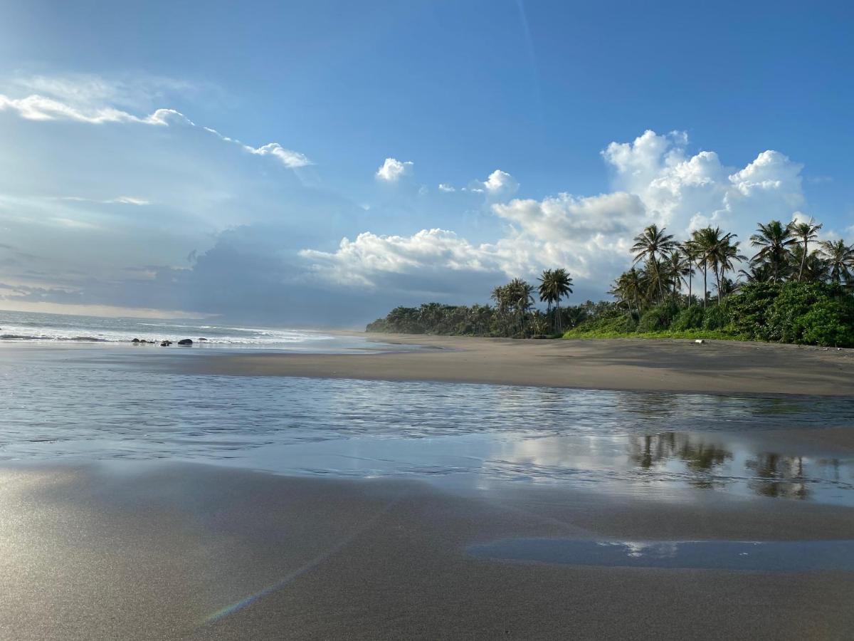 Balian Prana Hotel Selemadeg  Bagian luar foto