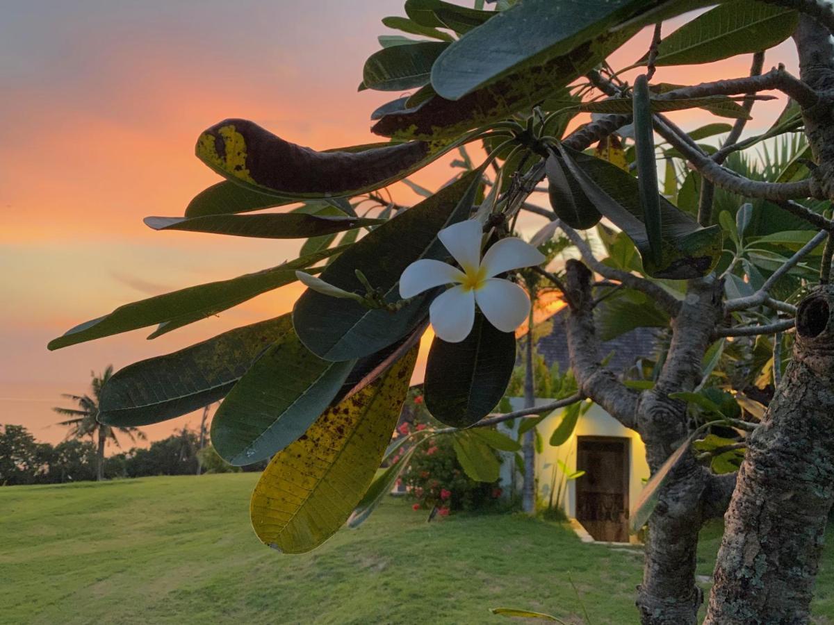 Balian Prana Hotel Selemadeg  Bagian luar foto
