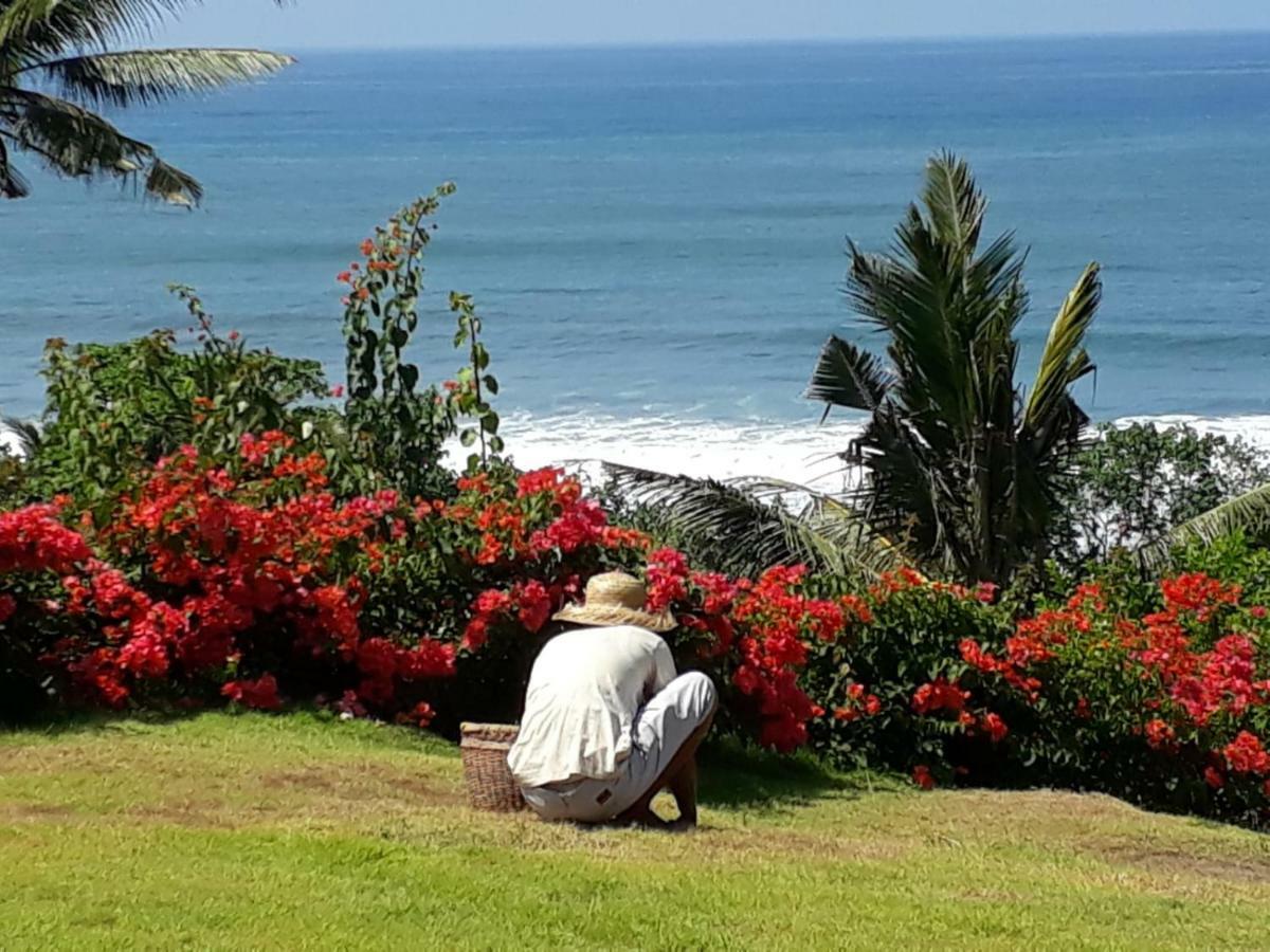 Balian Prana Hotel Selemadeg  Bagian luar foto